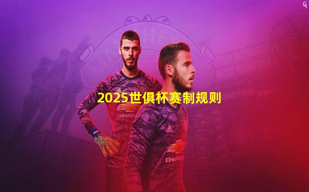 2025世俱杯赛制规则