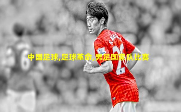 中国足球,足球革命,男足国家队比赛