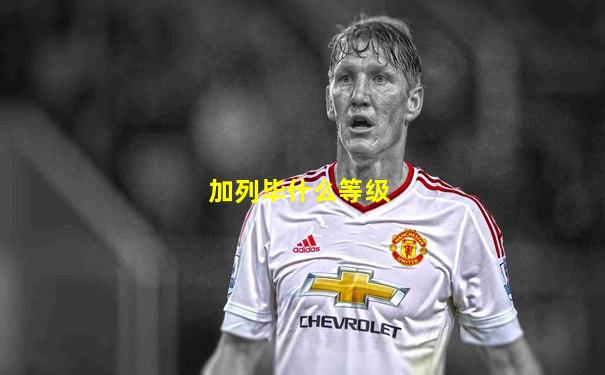 加列毕什么等级