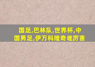 国足,巴林队,世界杯,中国男足,伊万科维奇谁厉害