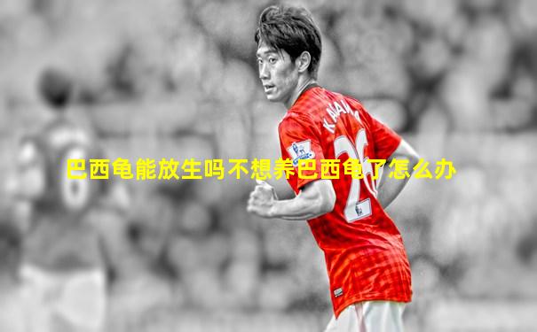 巴西龟能放生吗不想养巴西龟了怎么办