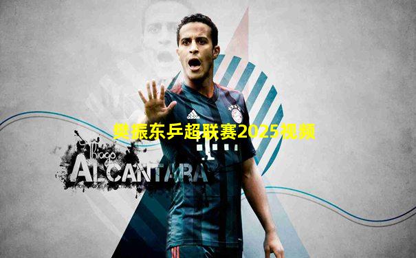 樊振东乒超联赛2025视频