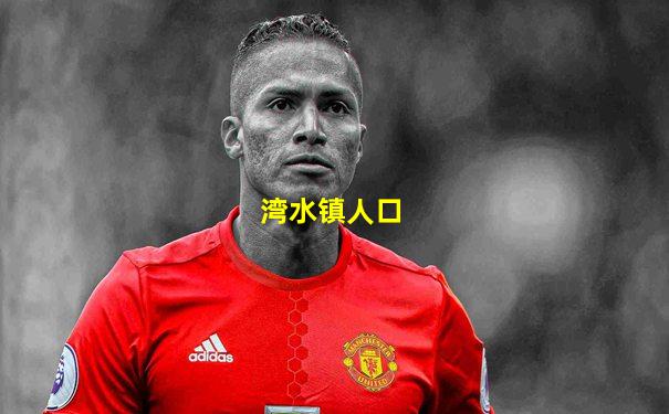 湾水镇人口