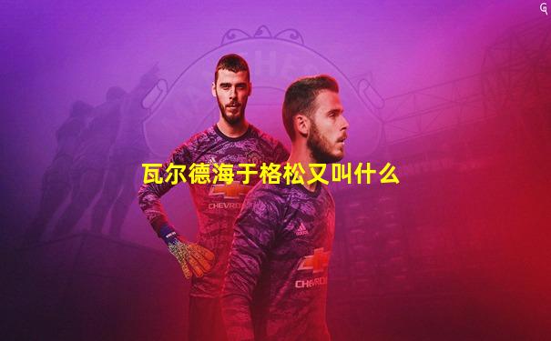 瓦尔德海于格松又叫什么