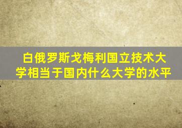 白俄罗斯戈梅利国立技术大学相当于国内什么大学的水平