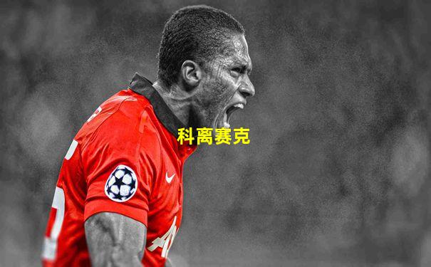科离赛克