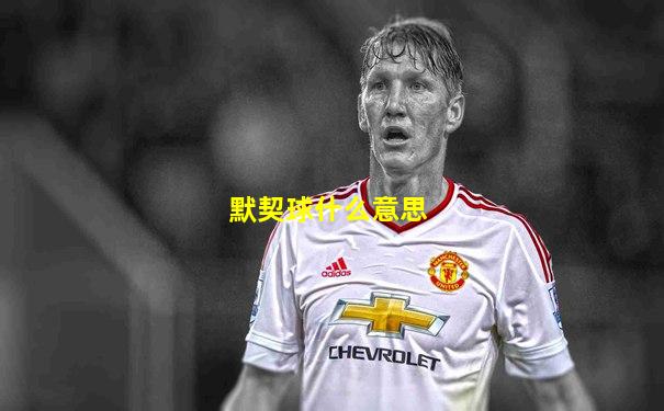 默契球什么意思