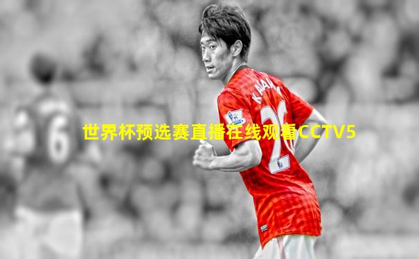 世界杯预选赛直播在线观看CCTV5